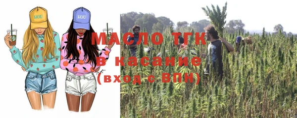 прущие грибы Инсар